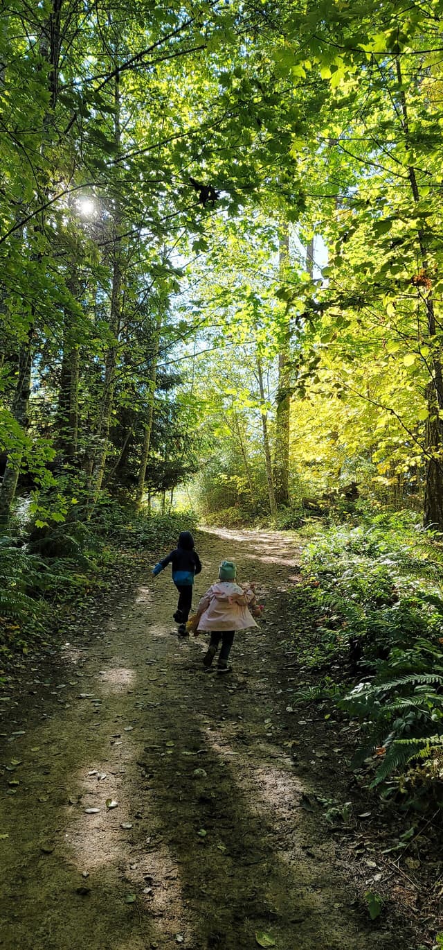 Children exploring a sunlit forest trail