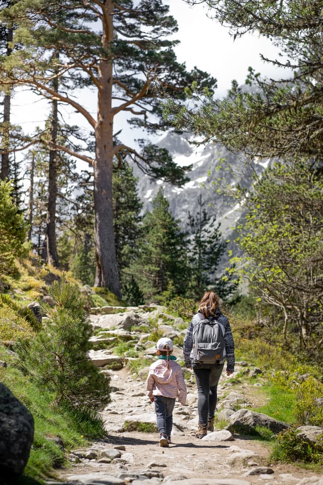 Family exploring a mountain forest together